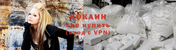 гидра Майский